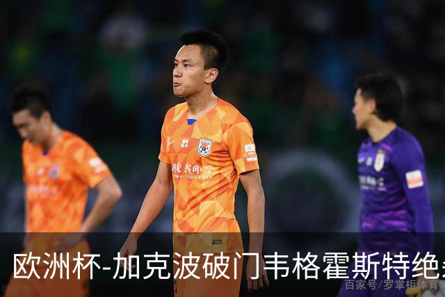 欧洲杯-加克波破门韦格霍斯特绝杀 荷兰2-1波兰