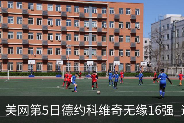 美网第5日德约科维奇无缘16强 迪米卢布列夫会师