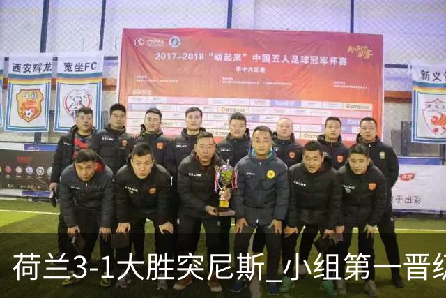 荷兰3-1大胜突尼斯 小组第一晋级淘汰赛将战摩洛哥